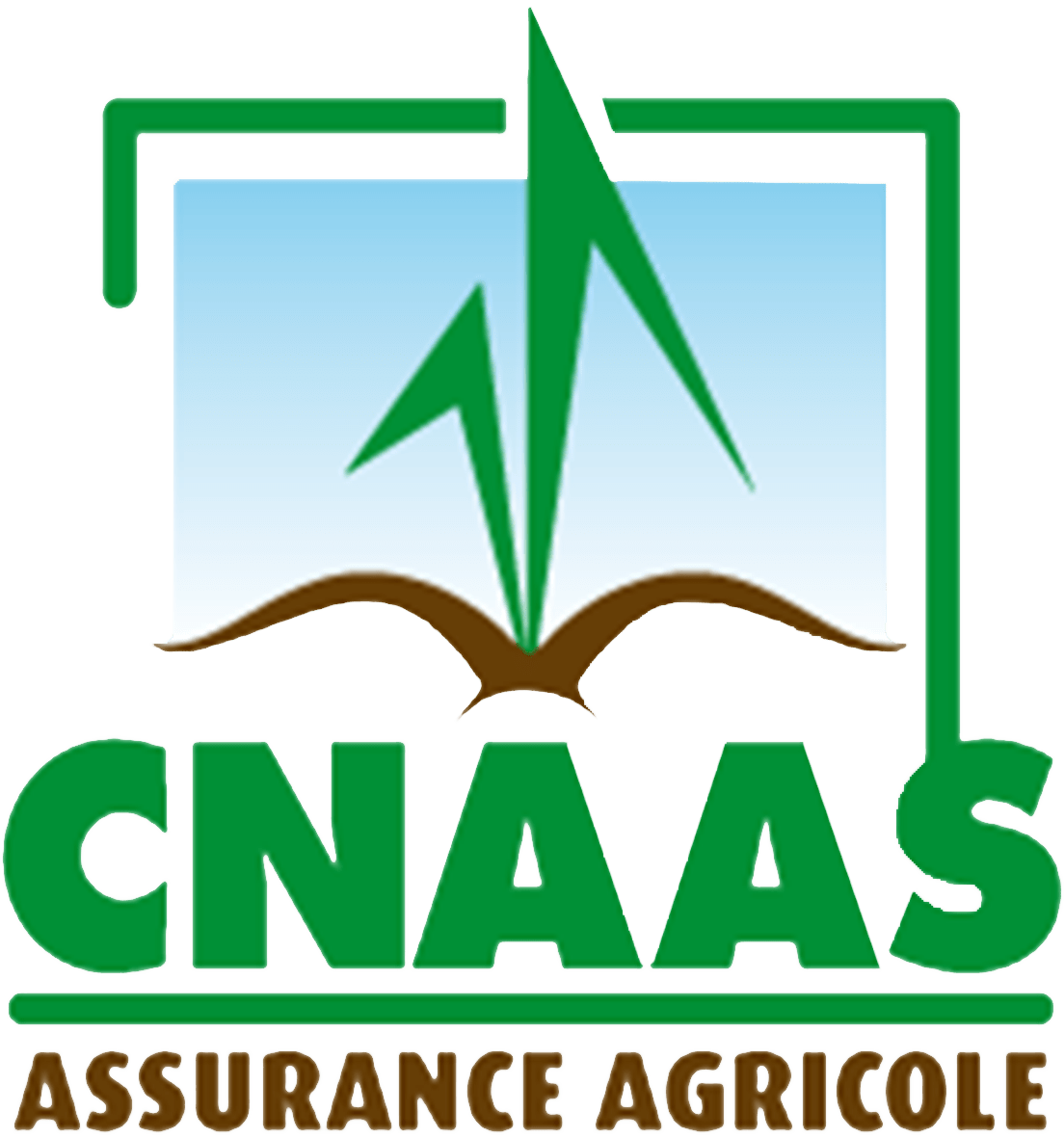 cnaas logo